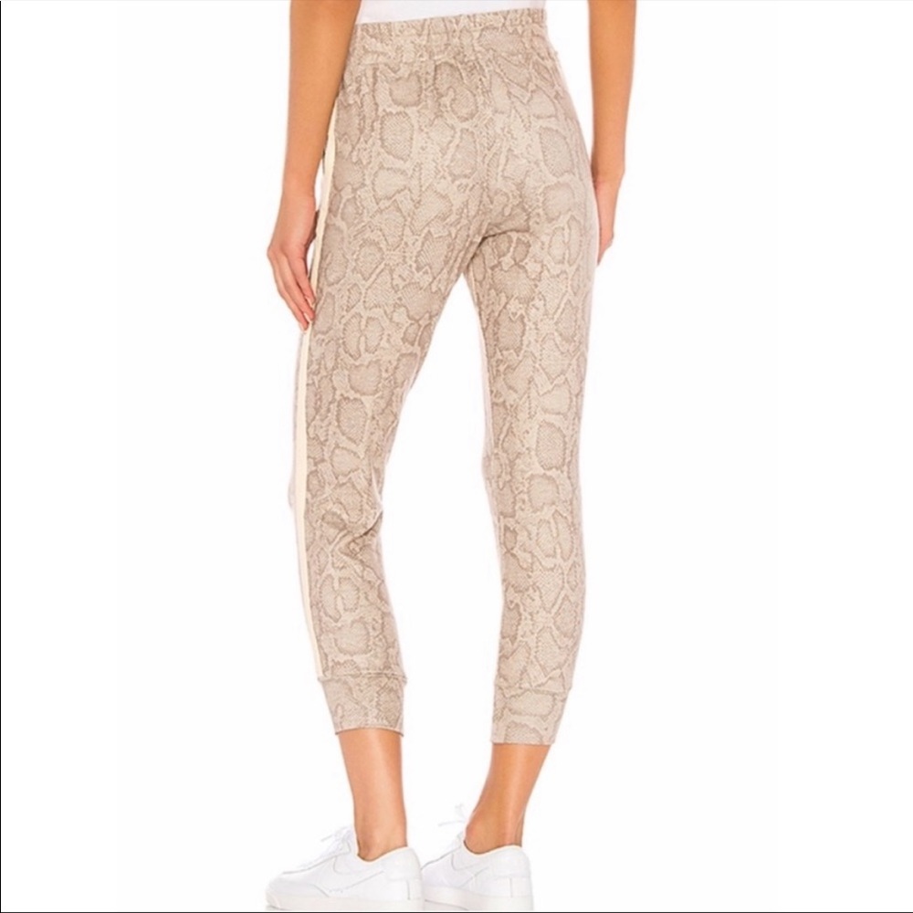 Sundry Snake Print Jogger Size Xsmall - image 4